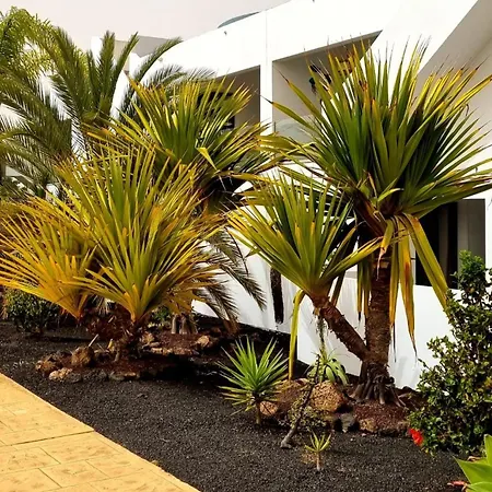 Infinity Casilla Apartment La Oliva Exterior photo