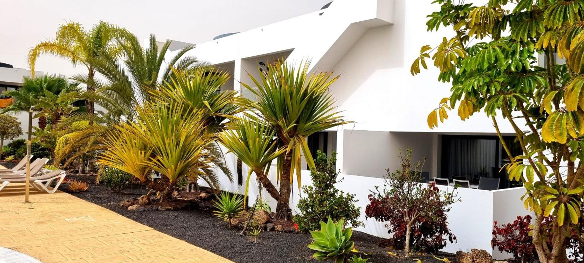 Apartment Infinity Casilla *
