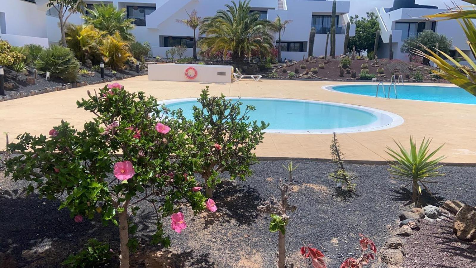 Apartment Infinity Casilla *