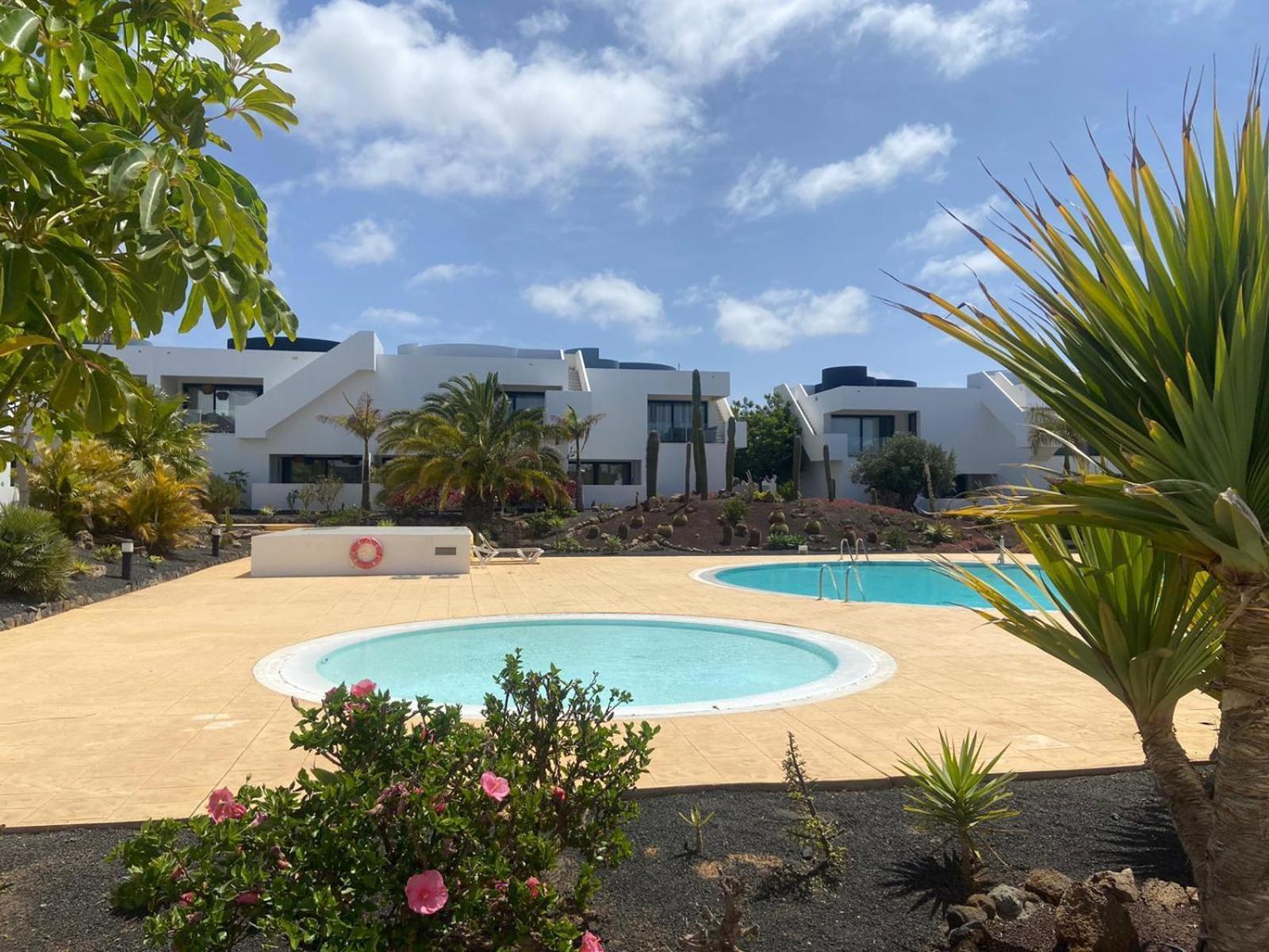 Apartment Infinity Casilla La Oliva